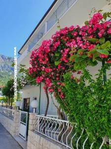 Apartments Villa Ivan Drvenik photo 2