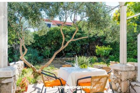 Apartment Franica photo 3