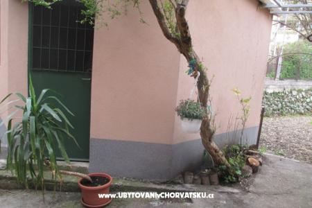  Apartment Bruno photo 3