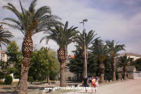 Skockica photo 3