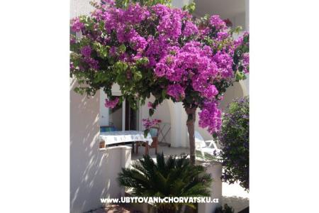Villa Orij Apartments photo 5