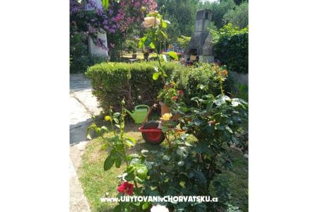 Apartments Majica Sv. Filip i Jakov Croatia