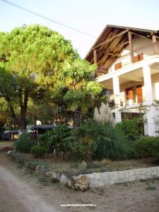 Apartments Luna Sv. Filip i Jakov Croatia