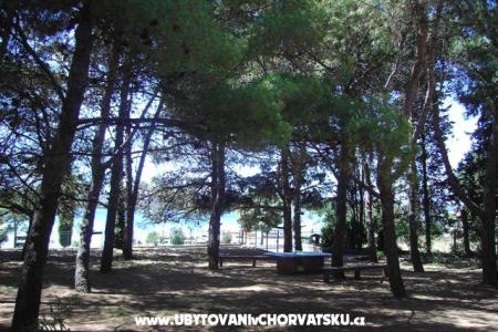 Apartments PARK photo 5