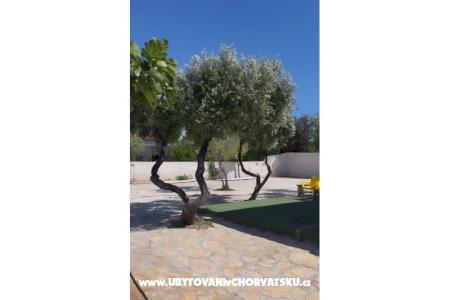 Robinson House Adria photo 5