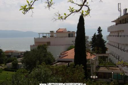 Apartment Gradac Falak photo 2