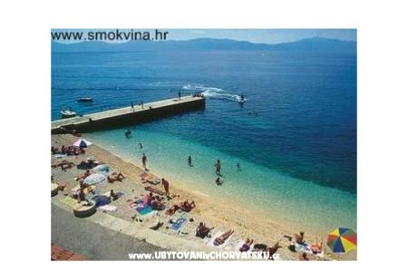 Apartments ANKA photo 5