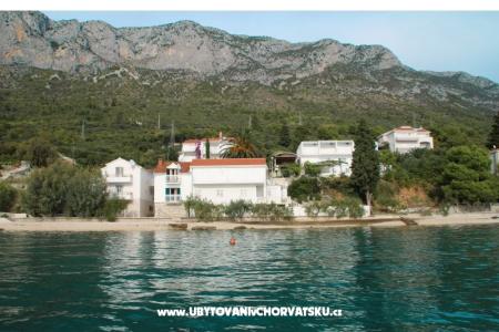 Apartments Mimoza photo 3