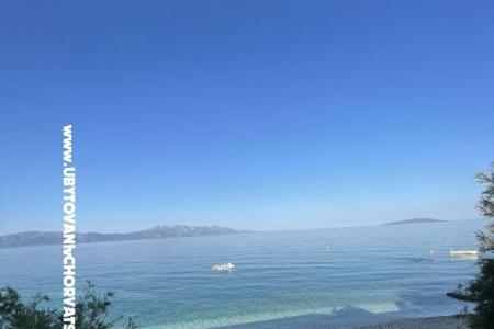 Apartments Mimoza photo 4