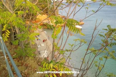 ART AND NATURE  photo 3