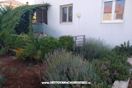 Apartment Paiz photo 2