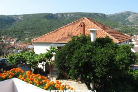 Apartments Jelsa-Hvar photo 2