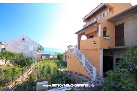 Apartments Joze photo 2