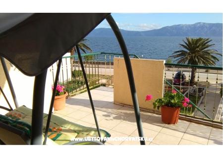 Apartments Jure photo 3