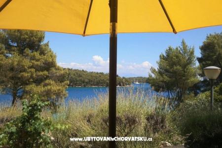 Apartments Stipišić photo 2