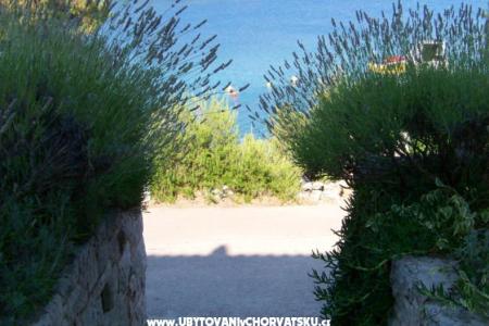 Apartments Stipišić photo 4