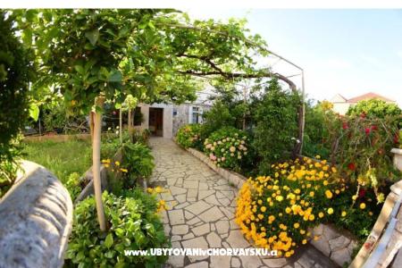 Apartments  Mate Slavic Island of Hvar Croatia