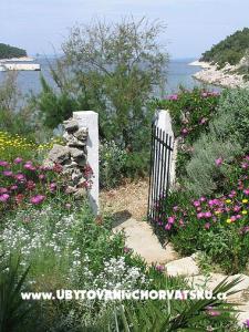 Apartment Stiniva photo 4