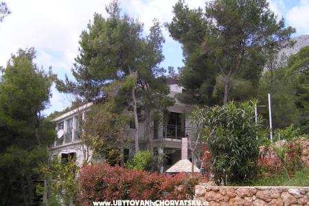 Apartments Villa Ypsilon Island of Hvar Croatia