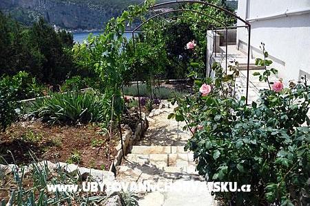Apartments Boni photo 3
