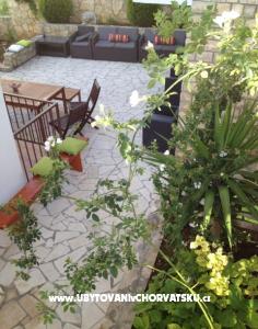 Guesthouse M Dvoshko photo 3