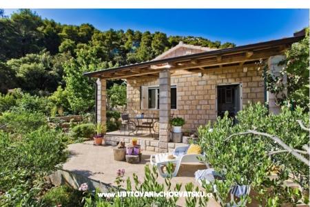 House Patrizia photo 4