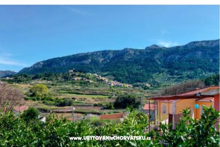 Vacation house Leonida  photo 2
