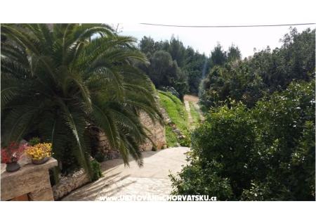 Vacation house Rubinić photo 4