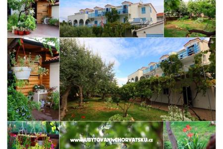 Jadranka Franičević Island of Hvar Croatia