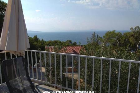 Tigrich apartmani photo 4