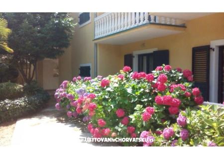 Villa Carevic photo 5