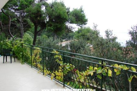 Villa Magnolia photo 3