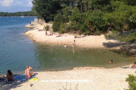 Villa Momus photo 5