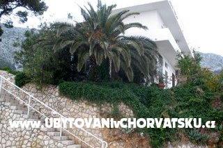 Apartments  Ines photo 2
