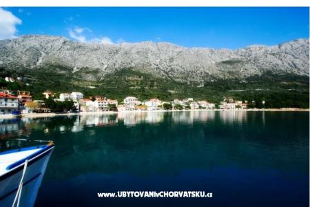 Villa Maslina photo 3