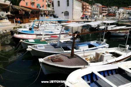 Villa Maslina photo 5