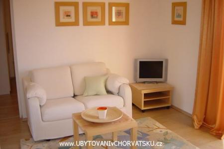 CASA RIVA photo 5
