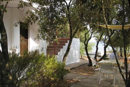 Apartment Marija photo 3