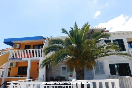 Apartments Leo  photo 2