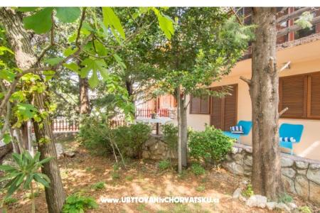 Apartment Tom photo 2