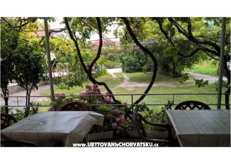 Adria Guesthouse photo 3