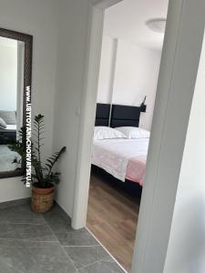 Apartments Kaja photo 3