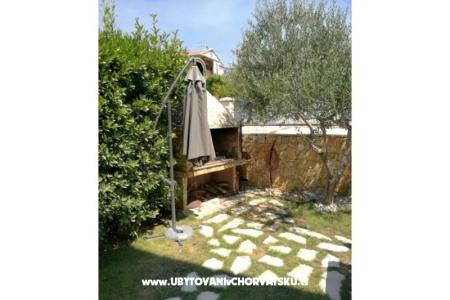 Sikic photo 4