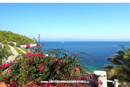 Vacation house Dorjan photo 5