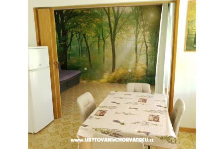 Apartments Branko photo 4
