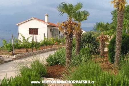 Apartments Maja photo 2