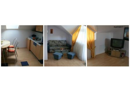 Apartments  Miskovic photo 2