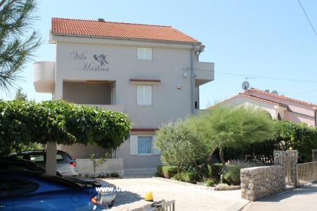 Apartments Vila Maslina Island of Krk Croatia