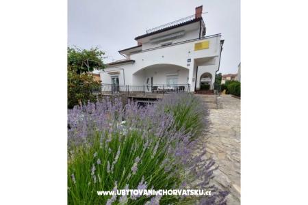 House Antica  Island of Krk Croatia