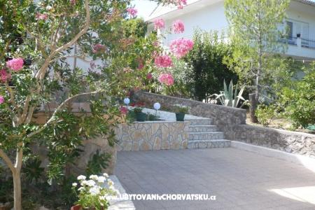 Apartments Zana photo 5
